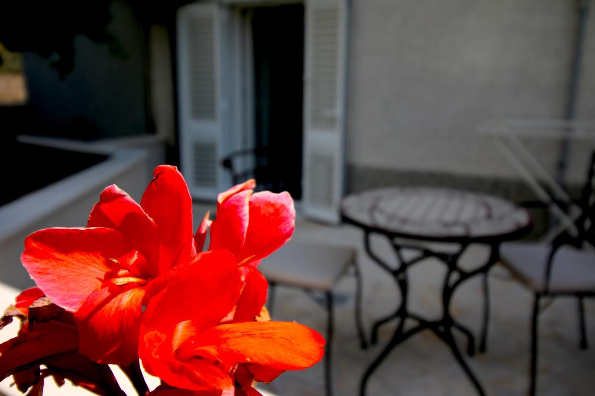Velin Apartment Split Bagian luar foto